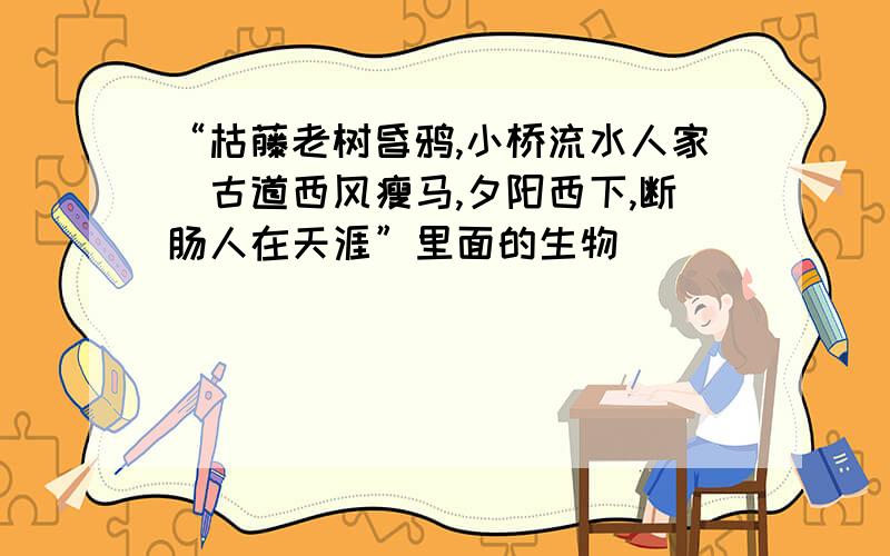 “枯藤老树昏鸦,小桥流水人家．古道西风瘦马,夕阳西下,断肠人在天涯”里面的生物