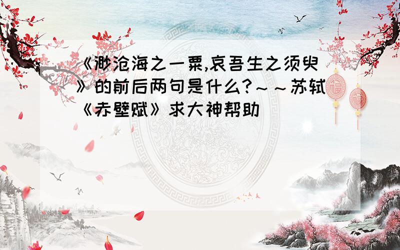 《渺沧海之一粟,哀吾生之须臾》的前后两句是什么?～～苏轼《赤壁赋》求大神帮助