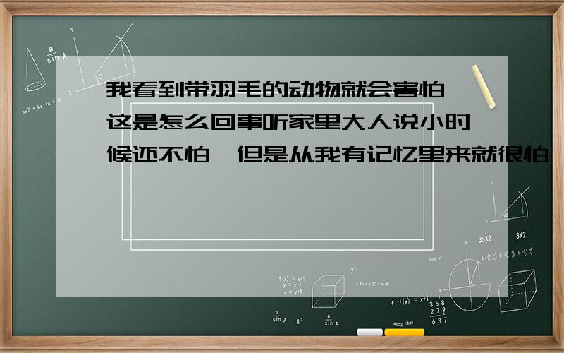 我看到带羽毛的动物就会害怕,这是怎么回事听家里大人说小时候还不怕,但是从我有记忆里来就很怕,过年的时候去姥姥家,人家送来的鸡鸭,都在院子里,我会怕的连门都不敢进,看到鸡毛掸子也