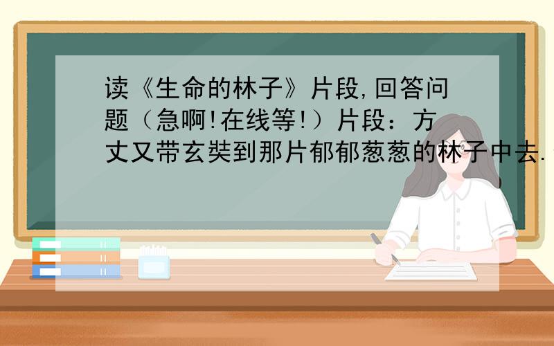 读《生命的林子》片段,回答问题（急啊!在线等!）片段：方丈又带玄奘到那片郁郁葱葱的林子中去.例子遮天蔽日,棵棵松树秀颀 、挺拔.方丈问玄奘：“为什么这里的松树每一棵都这么修长、