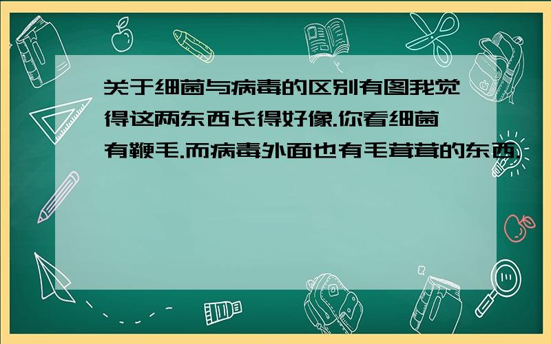 关于细菌与病毒的区别有图我觉得这两东西长得好像.你看细菌有鞭毛.而病毒外面也有毛茸茸的东西.