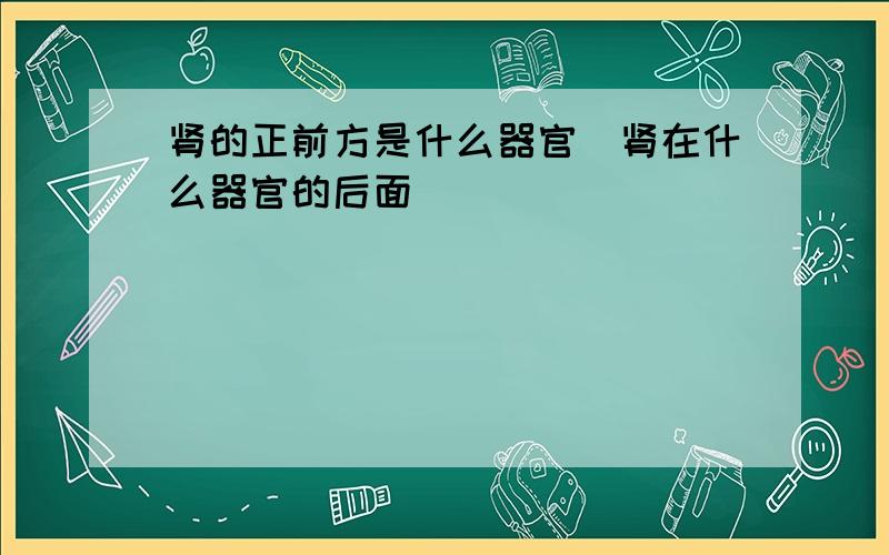 肾的正前方是什么器官（肾在什么器官的后面）