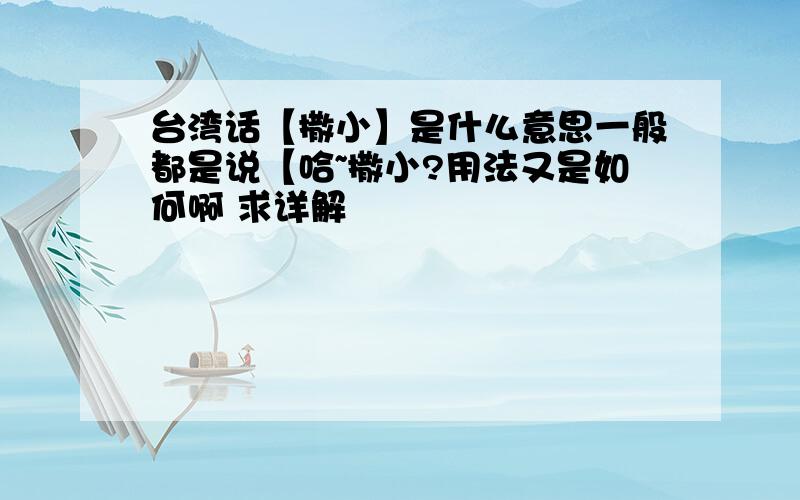 台湾话【撒小】是什么意思一般都是说【哈~撒小?用法又是如何啊 求详解