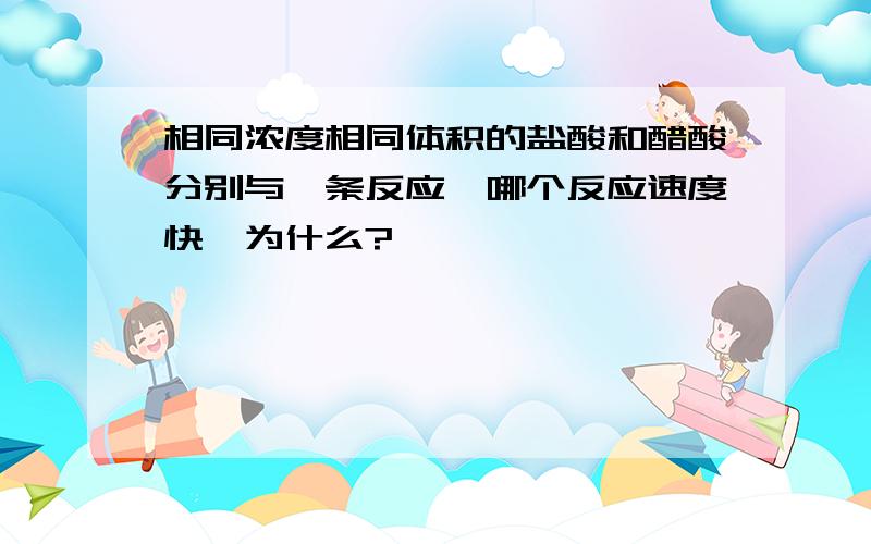 相同浓度相同体积的盐酸和醋酸分别与镁条反应,哪个反应速度快,为什么?