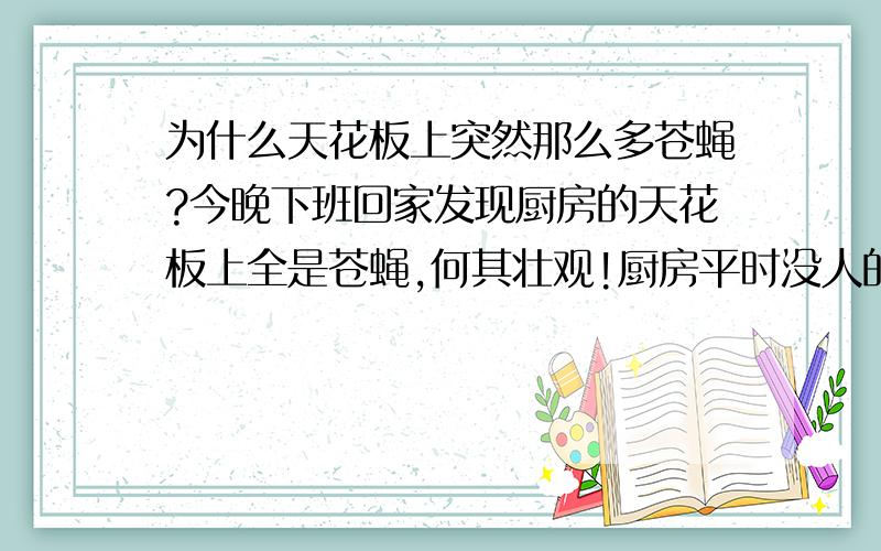 为什么天花板上突然那么多苍蝇?今晚下班回家发现厨房的天花板上全是苍蝇,何其壮观!厨房平时没人的时候是关得严严实实的,因为怕有老鼠钻进来,不知道为什么突然之间那么多苍蝇,是不是