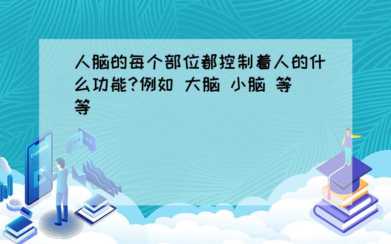 人脑的每个部位都控制着人的什么功能?例如 大脑 小脑 等等