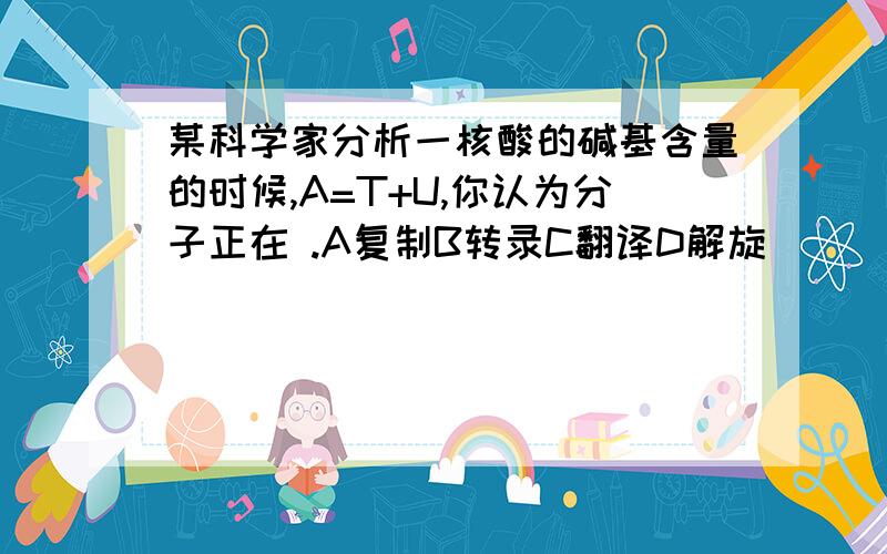 某科学家分析一核酸的碱基含量的时候,A=T+U,你认为分子正在 .A复制B转录C翻译D解旋