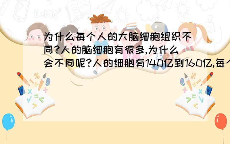 为什么每个人的大脑细胞组织不同?人的脑细胞有很多,为什么会不同呢?人的细胞有140亿到160亿,每个人都有不同的脑细胞组织,这是为什么呢?