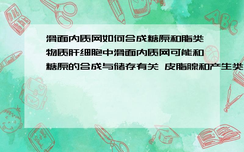 滑面内质网如何合成糖原和脂类物质肝细胞中滑面内质网可能和糖原的合成与储存有关 皮脂腺和产生类固醇物质的内分泌腺细胞中滑面内质网有合成脂类物质的功能 这两个的具体过程是什