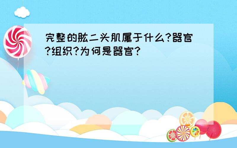 完整的肱二头肌属于什么?器官?组织?为何是器官?