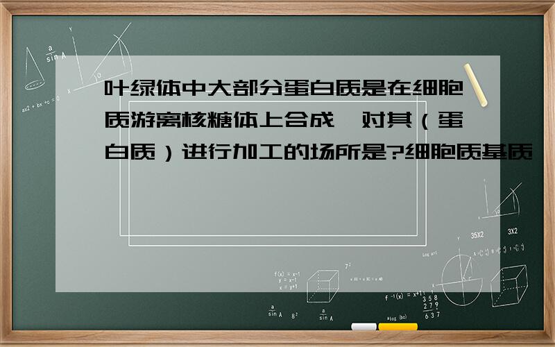 叶绿体中大部分蛋白质是在细胞质游离核糖体上合成,对其（蛋白质）进行加工的场所是?细胞质基质