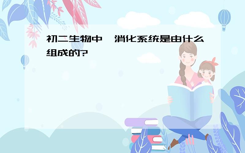 初二生物中,消化系统是由什么组成的?