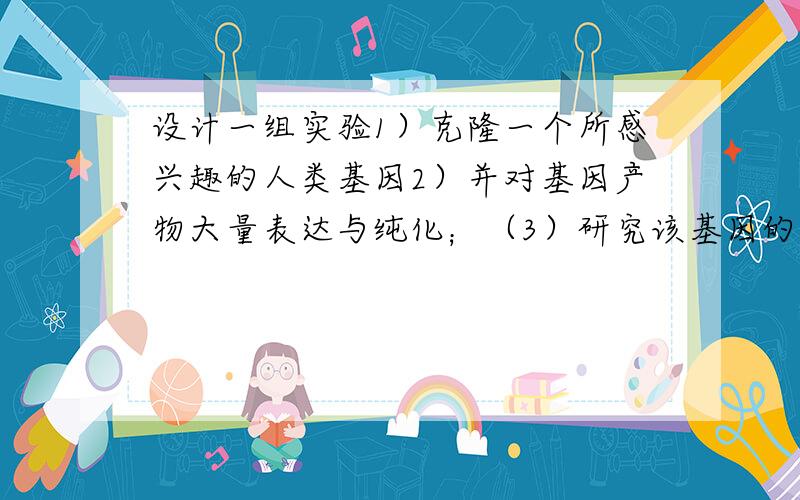 设计一组实验1）克隆一个所感兴趣的人类基因2）并对基因产物大量表达与纯化；（3）研究该基因的生物学功能