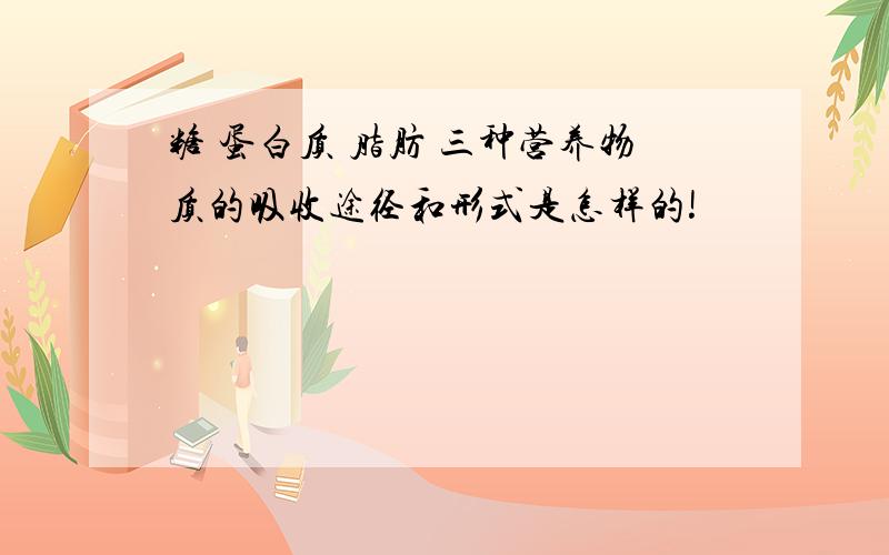 糖 蛋白质 脂肪 三种营养物质的吸收途径和形式是怎样的!