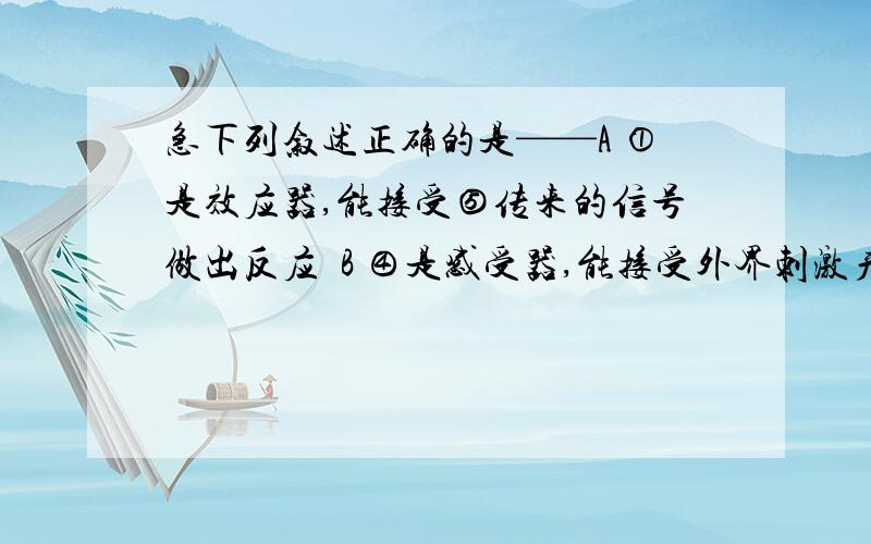 急下列叙述正确的是——A ①是效应器,能接受⑤传来的信号做出反应  B ④是感受器,能接受外界刺激产生神经冲动  C 神经冲动传导顺序是④③⑤②①  D ③能将来自⑤的神经冲动传至④,引起