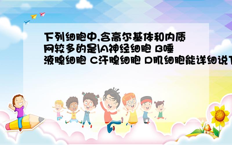 下列细胞中,含高尔基体和内质网较多的是\A神经细胞 B唾液腺细胞 C汗腺细胞 D肌细胞能详细说下么？