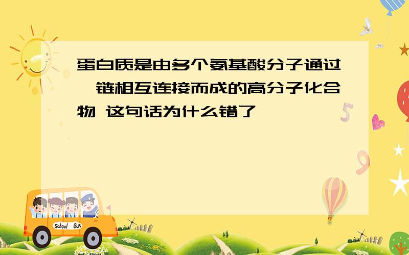 蛋白质是由多个氨基酸分子通过肽链相互连接而成的高分子化合物 这句话为什么错了