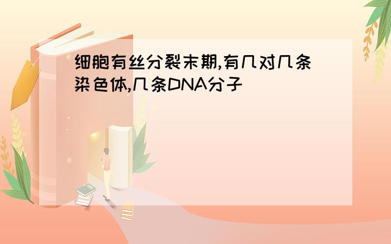 细胞有丝分裂末期,有几对几条染色体,几条DNA分子