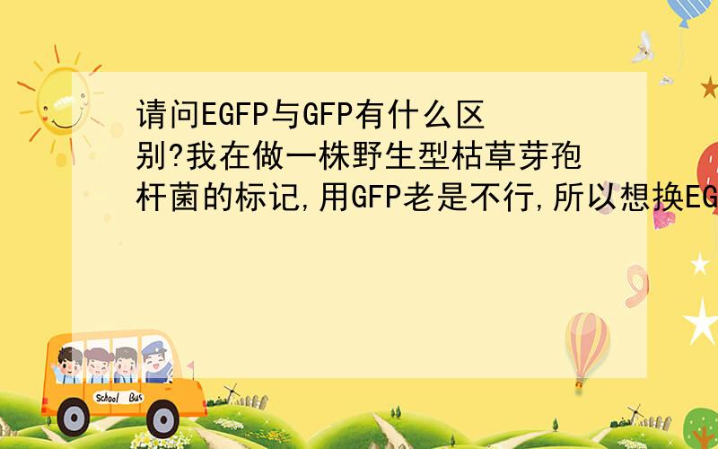 请问EGFP与GFP有什么区别?我在做一株野生型枯草芽孢杆菌的标记,用GFP老是不行,所以想换EGFP