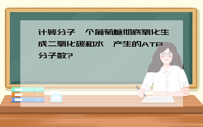 计算分子一个葡萄糖彻底氧化生成二氧化碳和水,产生的ATP分子数?