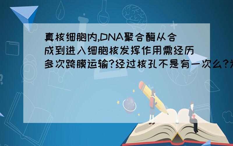 真核细胞内,DNA聚合酶从合成到进入细胞核发挥作用需经历多次跨膜运输?经过核孔不是有一次么?为什么答案说跨膜运输为零呢?