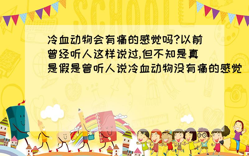 冷血动物会有痛的感觉吗?以前曾经听人这样说过,但不知是真是假是曾听人说冷血动物没有痛的感觉