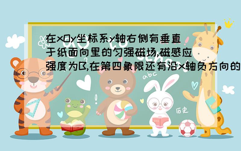 在xOy坐标系y轴右侧有垂直于纸面向里的匀强磁场,磁感应强度为B,在第四象限还有沿x轴负方向的匀强电场,y轴上有一点p,坐标已知为（0,L）,一电荷量为q、质量为m的粒子从p点以某一未知的速度