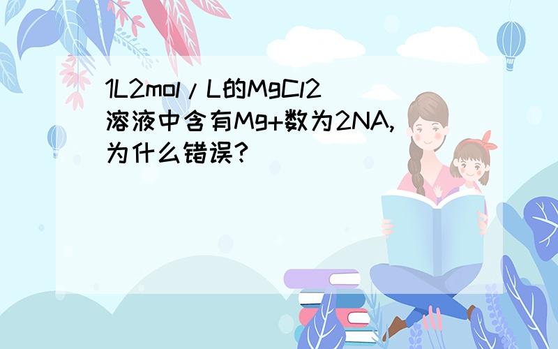 1L2mol/L的MgCl2溶液中含有Mg+数为2NA,为什么错误?