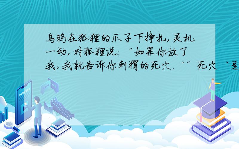 乌鸦在狐狸的爪子下挣扎,灵机一动,对狐狸说：“如果你放了我,我就告诉你刺猬的死穴.“”死穴“是指?六年级《学生周报》寒假版第十版