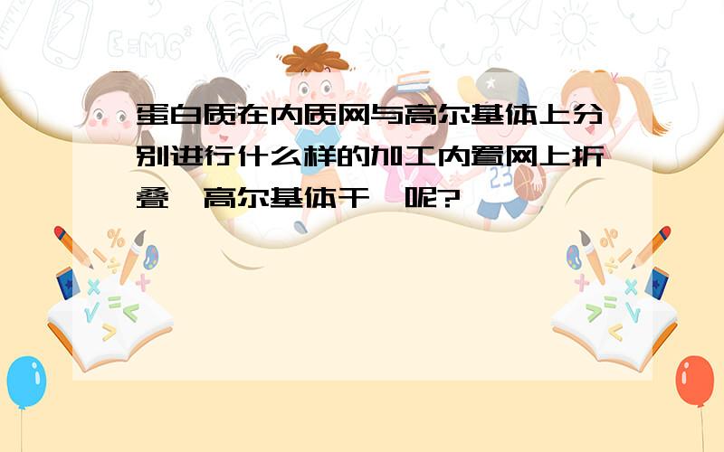 蛋白质在内质网与高尔基体上分别进行什么样的加工内置网上折叠,高尔基体干嘛呢?