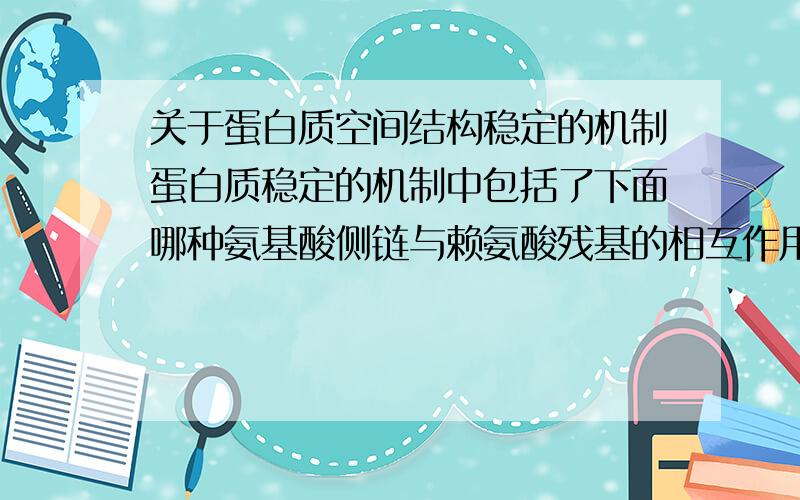 关于蛋白质空间结构稳定的机制蛋白质稳定的机制中包括了下面哪种氨基酸侧链与赖氨酸残基的相互作用?A 甘氨酸 B 精氨酸 C 组氨酸 D 天冬氨酸 E 天冬酰胺最好能有解释,谢谢了~