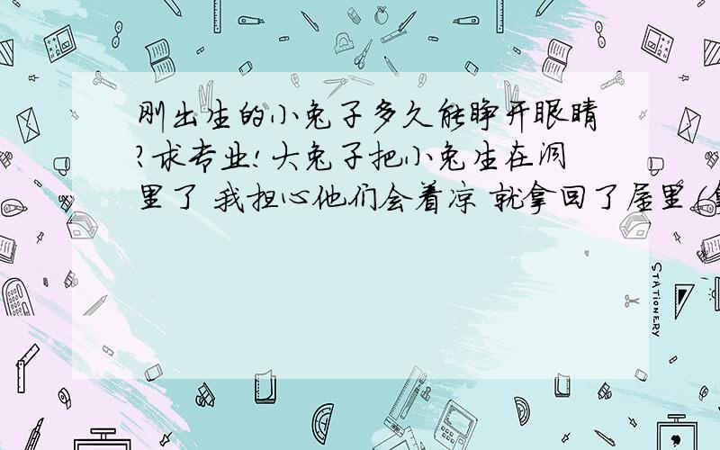 刚出生的小兔子多久能睁开眼睛?求专业!大兔子把小兔生在洞里了 我担心他们会着凉 就拿回了屋里（拿出来之后我就后悔了 我是多此一举- -）小兔子一天吃几次奶?多久睁开眼睛?多久会跑?