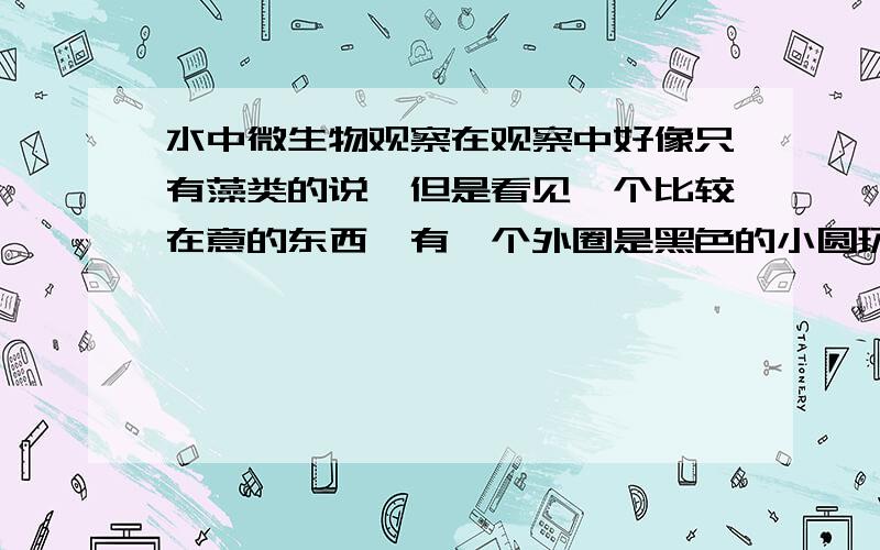 水中微生物观察在观察中好像只有藻类的说,但是看见一个比较在意的东西,有一个外圈是黑色的小圆环在水藻的旁边,还有就是我用的是中倍的物镜【?】看的,有一块很朦胧的像是胚胎形状的