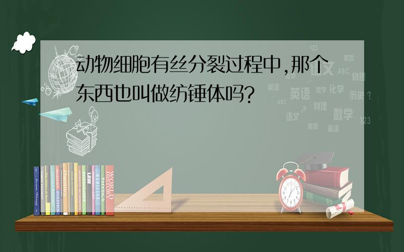 动物细胞有丝分裂过程中,那个东西也叫做纺锤体吗?