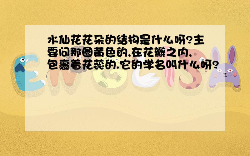 水仙花花朵的结构是什么呀?主要问那圈黄色的,在花瓣之内,包裹着花蕊的.它的学名叫什么呀?