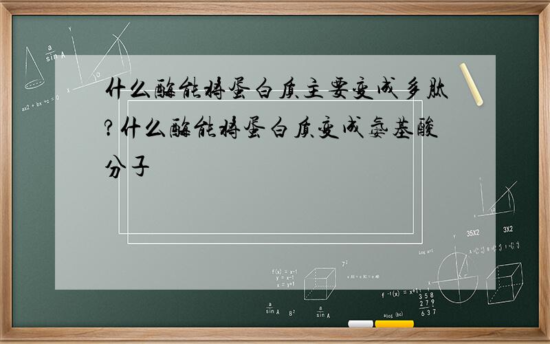 什么酶能将蛋白质主要变成多肽?什么酶能将蛋白质变成氨基酸分子