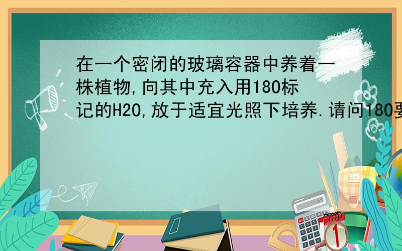 在一个密闭的玻璃容器中养着一株植物,向其中充入用18O标记的H2O,放于适宜光照下培养.请问18O要在有机物中出现,至少需要经过几个步骤?（　　）A．1\x09\x09\x09\x09B．2\x09\x09\x09\x09C．3\x09\x09\x09