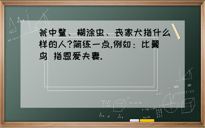 瓮中鳖、糊涂虫、丧家犬指什么样的人?简练一点,例如：比翼鸟 指恩爱夫妻.