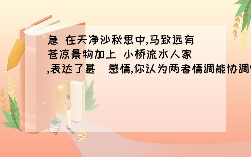 急 在天净沙秋思中,马致远有苍凉景物加上 小桥流水人家 ,表达了甚麼感情,你认为两者情调能协调吗?