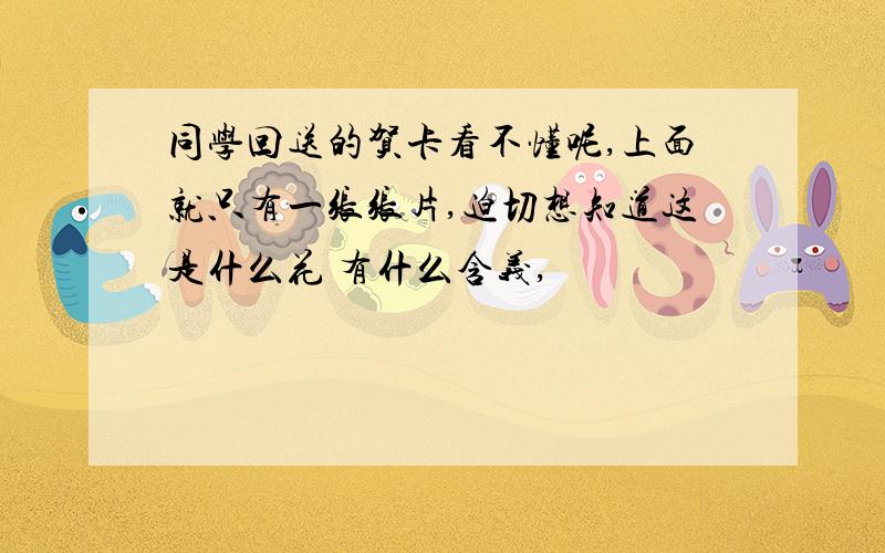 同学回送的贺卡看不懂呢,上面就只有一张张片,迫切想知道这是什么花 有什么含义,