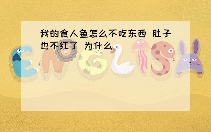 我的食人鱼怎么不吃东西 肚子也不红了 为什么