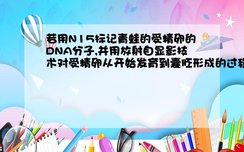 若用N15标记青蛙的受精卵的DNA分子,并用放射自显影技术对受精卵从开始发育到囊胚形成的过程中 的前数次分裂进行分析,每次卵裂结束时都对所有子细胞核中具有N15标记的DNA分子数和总DNA分