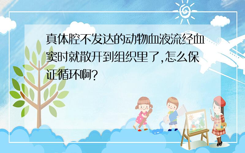 真体腔不发达的动物血液流经血窦时就散开到组织里了,怎么保证循环啊?