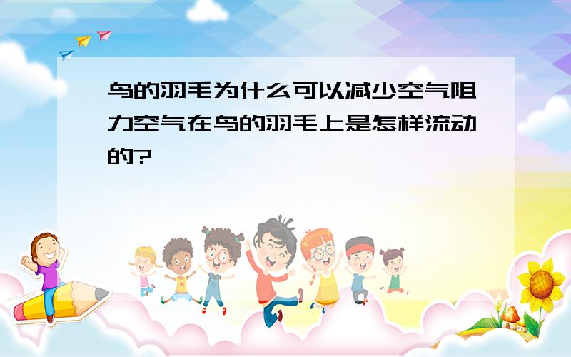 鸟的羽毛为什么可以减少空气阻力空气在鸟的羽毛上是怎样流动的?