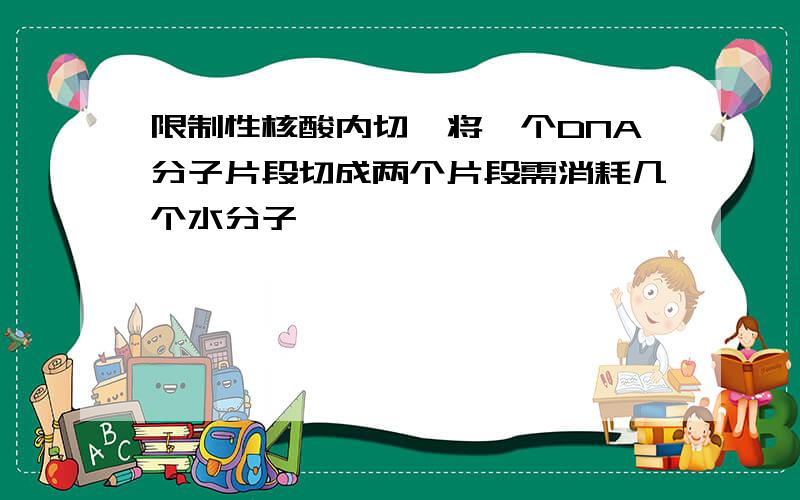 限制性核酸内切酶将一个DNA分子片段切成两个片段需消耗几个水分子