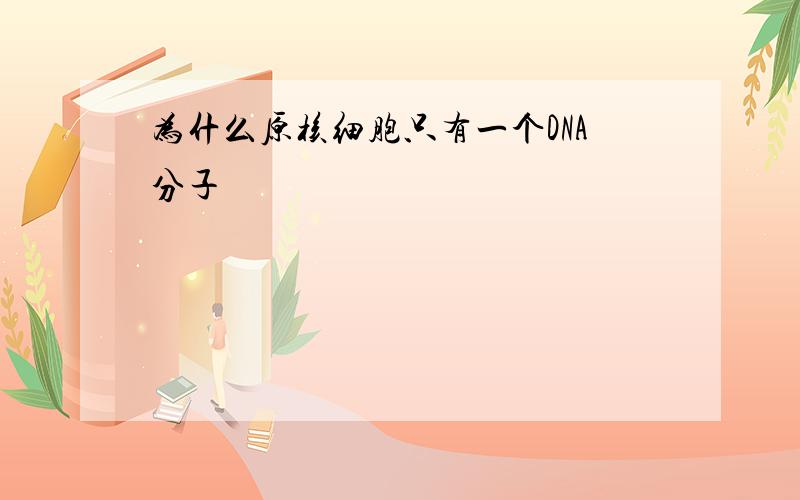 为什么原核细胞只有一个DNA分子