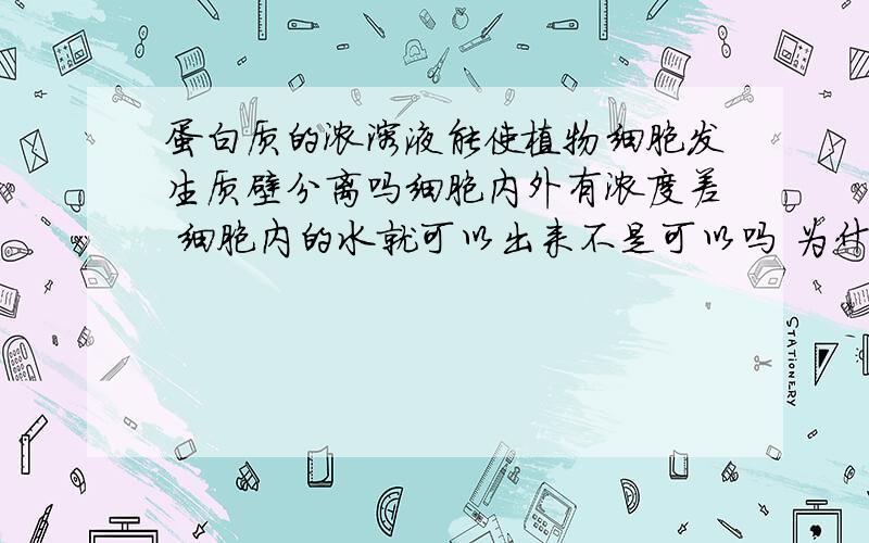 蛋白质的浓溶液能使植物细胞发生质壁分离吗细胞内外有浓度差 细胞内的水就可以出来不是可以吗 为什么书上说不可以 请知道的回答 不确定的不要回答 这个问题困扰我很久了