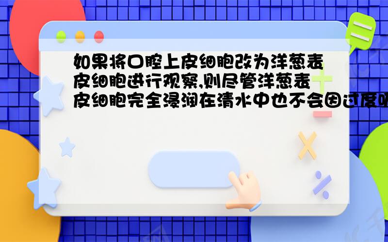 如果将口腔上皮细胞改为洋葱表皮细胞进行观察,则尽管洋葱表皮细胞完全浸润在清水中也不会因过度吸水而胀破,这是因为植物细胞的外面具有__________的缘故.为什么不是细胞膜?