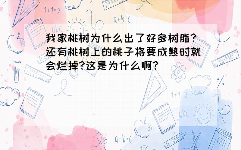 我家桃树为什么出了好多树脂?还有桃树上的桃子将要成熟时就会烂掉?这是为什么啊?