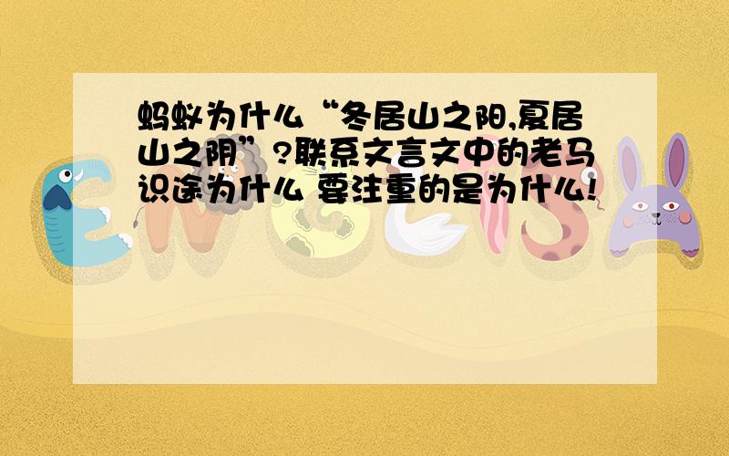 蚂蚁为什么“冬居山之阳,夏居山之阴”?联系文言文中的老马识途为什么 要注重的是为什么!